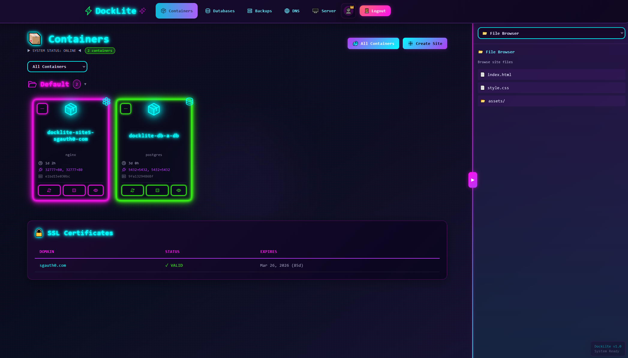 DockLite dashboard preview